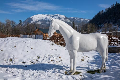 Rundgang Bad Ischl zeigt ein weißes Pferd im Schnee mit einem Berg als Hintergrund